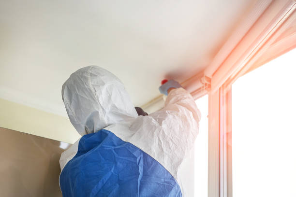 Best Mold Remediation for Healthcare Facilities  in Ilion, NY